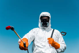 Best Bed Bug Extermination  in Levelland, TX